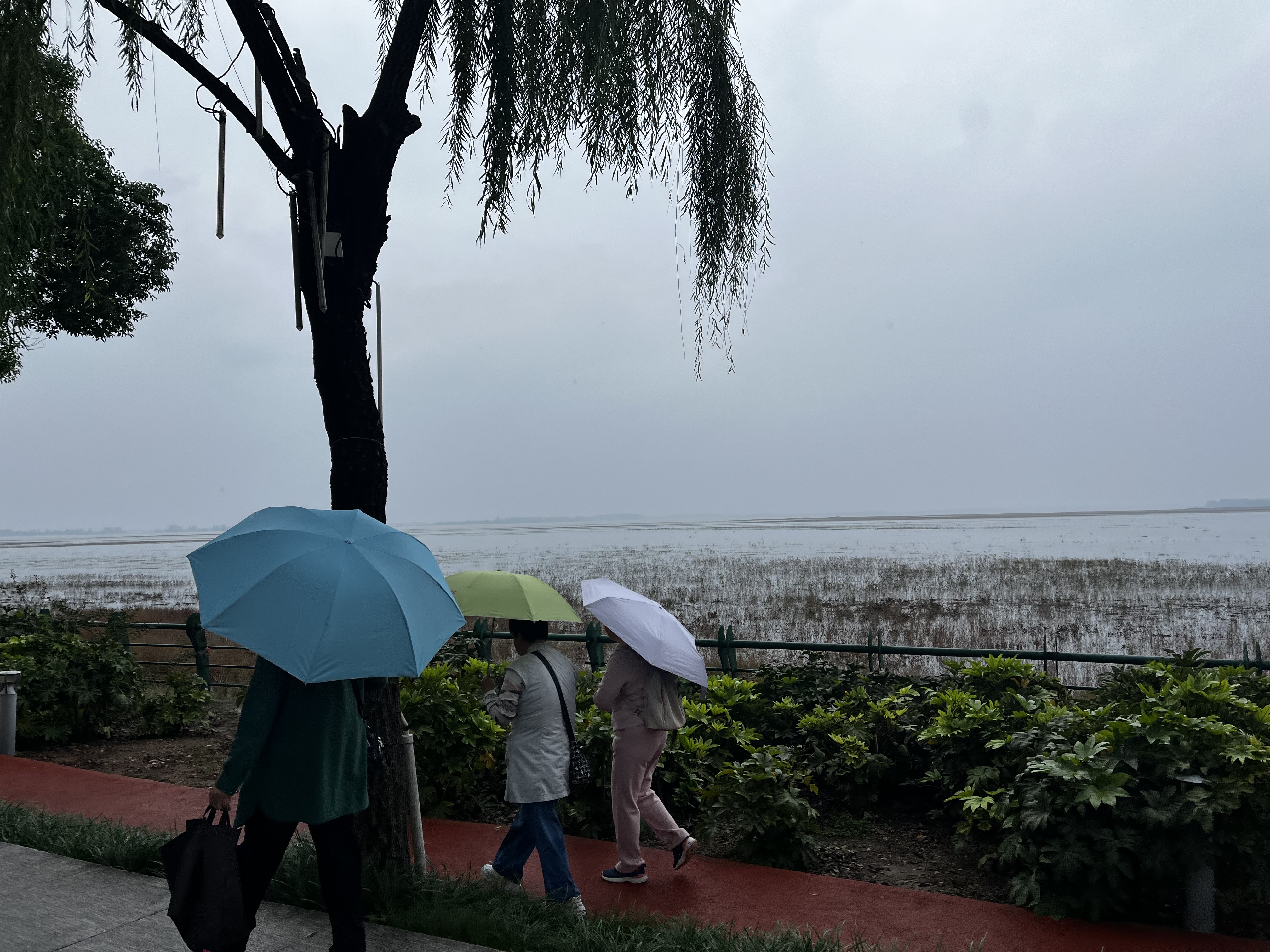 转眼间十一假期就过去了，事情都演化的好快，扑面而来。
这个秋天雨水特别多，天空一直是濛濛的，没有炽烈，一如我此时的处境和心情。
匆匆的去了一趟平顶山妹妹的新居，妹妹们、外甥、外甥女、崭新的小区、走走、聊聊、安静、白龟湖、随心、安静。
匆匆的返回，见到了妈妈，小妹妹，妹夫，小外甥，拉拉家常。
匆匆的送妈妈回老家，舟车劳顿。
然后是连续三天的躺平，感觉自己要和沙发焊死了，抖音，B站，视频号来回切换。抖音主要看一些政经类，国家伟大；B站主要看一些国外搬运切片、老外在中国；视频号主要看电影，篮球，看房。总之就是昏天黑地，眼睛透支。
最后一天丈母娘来看牙，南站，医院，医院，南站，返程大军。
最后，生活还是要继续努力，努力保持专注，摆脱懒惰思想，打造利于自己的系统。